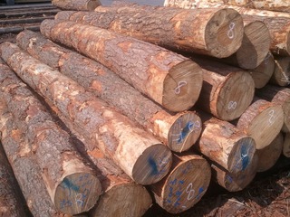 �񻺹������˾���ͺ���˸��ڴ���