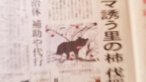 �����פε���