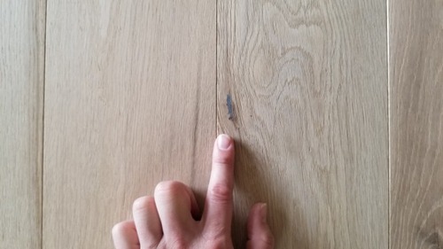 ÈÔÈÄ¥Õ¥í¡¼¥ê¥ó¥° S3¥·¥ê¡¼¥º N¥°¥ì¡¼¥É£µ