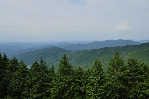 Â绳Çò»³¿À¼Ò¤ÎÂ祹¥®¡¡£±£±