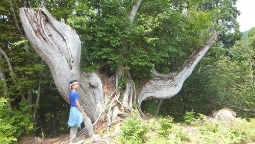 ²ÖÀÔ¤ÎÅ·Á³Éú¾òÂæ¿ù 7