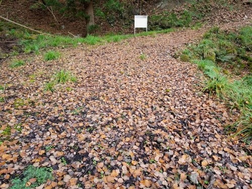 ʼ�˸������ ����祫�ĥ� 5