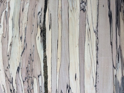 ¥¹¥Ý¥ë¥Æ¥Ã¥Éºà