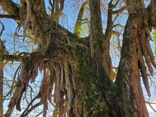 ���縩������ �����������ꥤ���祦4