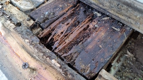 �ҤФΥǥå���