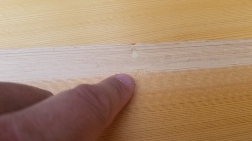 �����ʥ�̵������ʪ�����ܱ����ģ�