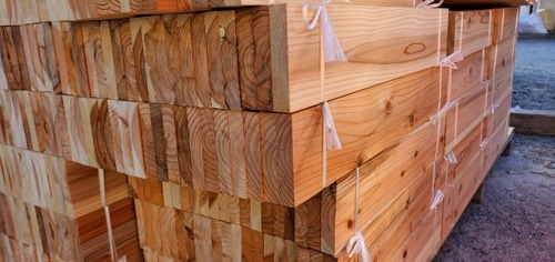 ���ڻԻ��ࣱ