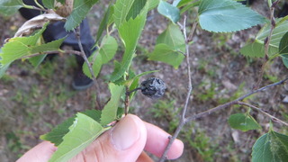 µþÂçõˬÌÚ¡¡£±