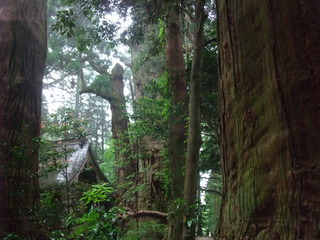 ÂçµÏ¼Ò¤ÎÂç¿ù 10