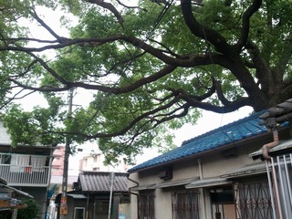 »°¹ñ¤Î¾À¡¡£±