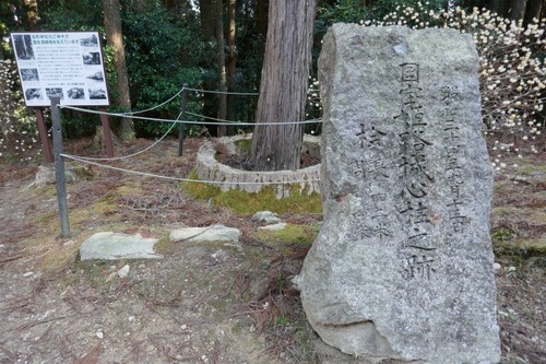 ³Þ·Á¿À¼Ò¤ÎÂ祹¥®¡ÊÉ×ÉØ¥¹¥®¡Ë£±£³