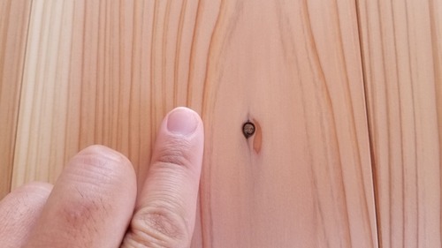 �������ե�����󥰡�2019-10