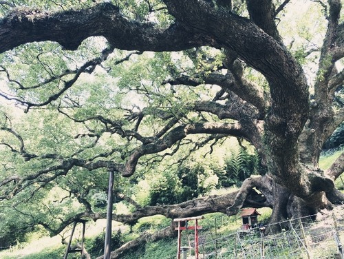 �֡�����礯��