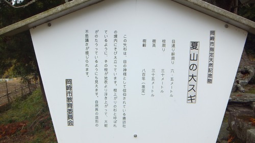 �ƻ����������