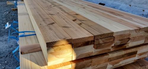 ���ڻԻ��ࣱ