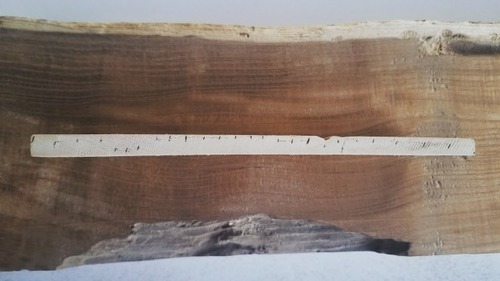 18cm¤Ç250ǯ