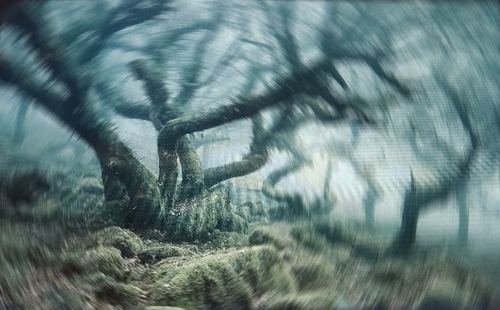 ���ΤΥ��᡼����