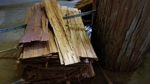 ����ù�����