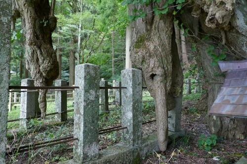 ������Υ����祦����