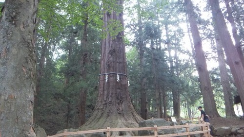 �ϸ����ֿ��Ҥμ��ܿ���7