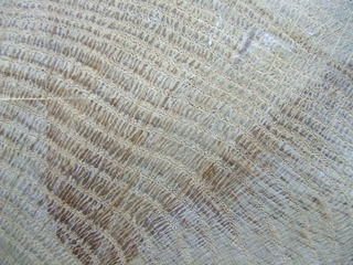 ´Ä¹¦ºà¡¡¥Ê¥é