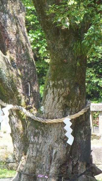 ������Ҥζ��ںԡ���