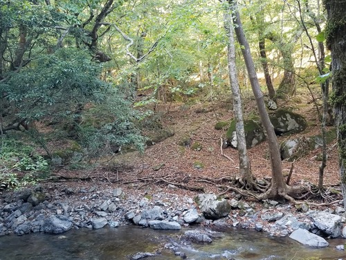 ��ë��ŷ���ӣ�