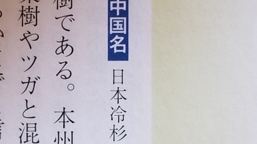 ¥â¥ß