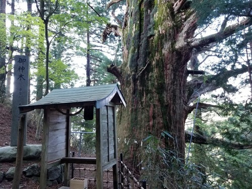 ��Ǹ������