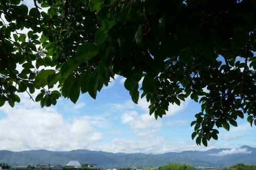 Èø³«¤Î¥¯¥í¥¬¥Í¥â¥Á9