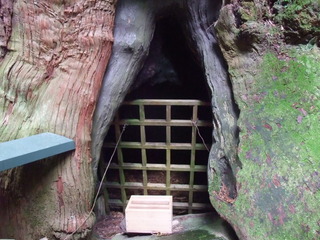 ÂçµÏ¼Ò¤ÎÂç¿ù 16