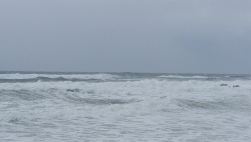 ��Ȼ����ݥ�������