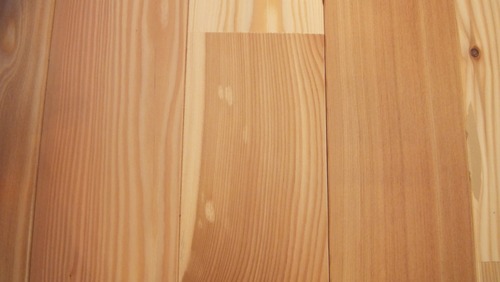 �ԥ奢�顼����TENKARA�˥����������ͥ����åɥ��졼�ɣ�