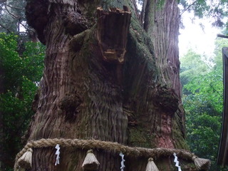 ÂçµÏ¼Ò¤ÎÂç¿ù 14