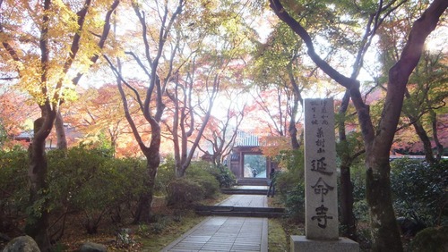 ��̿����ͼ�Ȥ�ߤ���