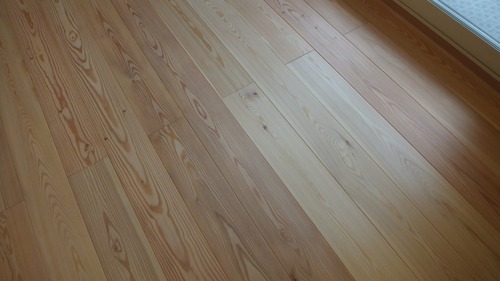 N��š�ԥ奢�顼���ե�����󥰻ܹ��̿�����