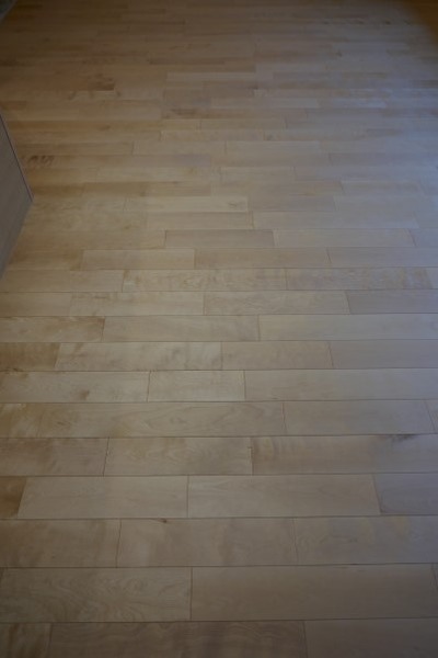 С(С̵ĤʤV¥ե󥰻ܹ 7