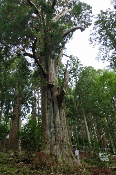 Â绳Çò»³¿À¼Ò¤ÎÂ祹¥®¡¡£±£·