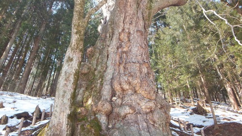 ����Υȥ�������