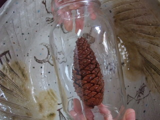 ���ܤä���ޥ��å���