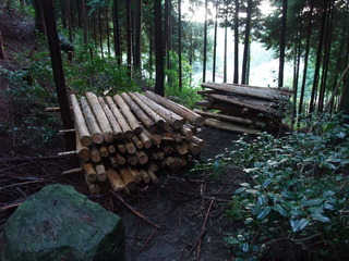 ���ڻ�ɰ����