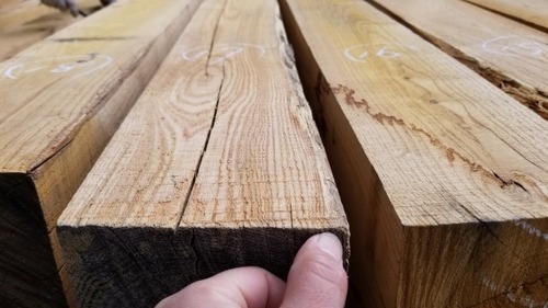 �պ����������