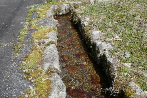 ���奶���� 9