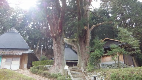 ���ɸ�ŷ���ԡ���Ƿ˷�������������