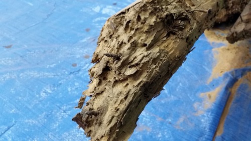 �������ѥǥå��ࣷ