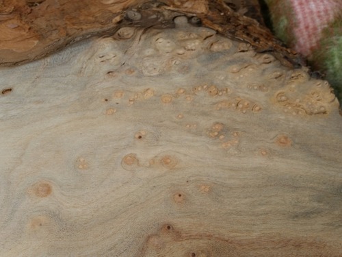 ¥¯¥¹¥Î¥¥Æ¡¼¥Ö¥ë¡¡£²