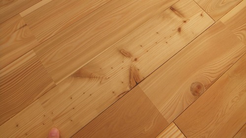 ԥ奢顼TENKARA˥ͥåɥ졼ɣ