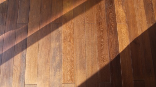 ¥¨¥¤¥ó¥·¥§¥ó¥È¥ª¡¼¥¯Éý¹Ìµ¹¤°ìËçʪ¥Õ¥í¡¼¥ê¥ó¥°´°À®¡¡£¹