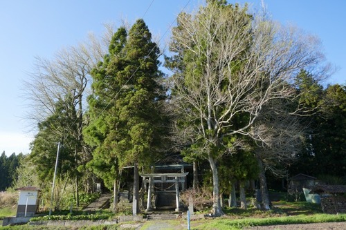 ���縩������ �����������ꥤ���祦5