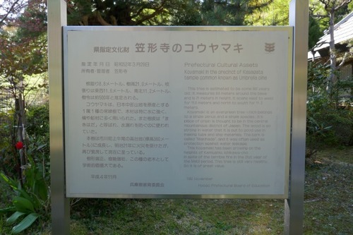 ³Þ·Á»û¤Î¥³¥¦¥ä¥Þ¥£³